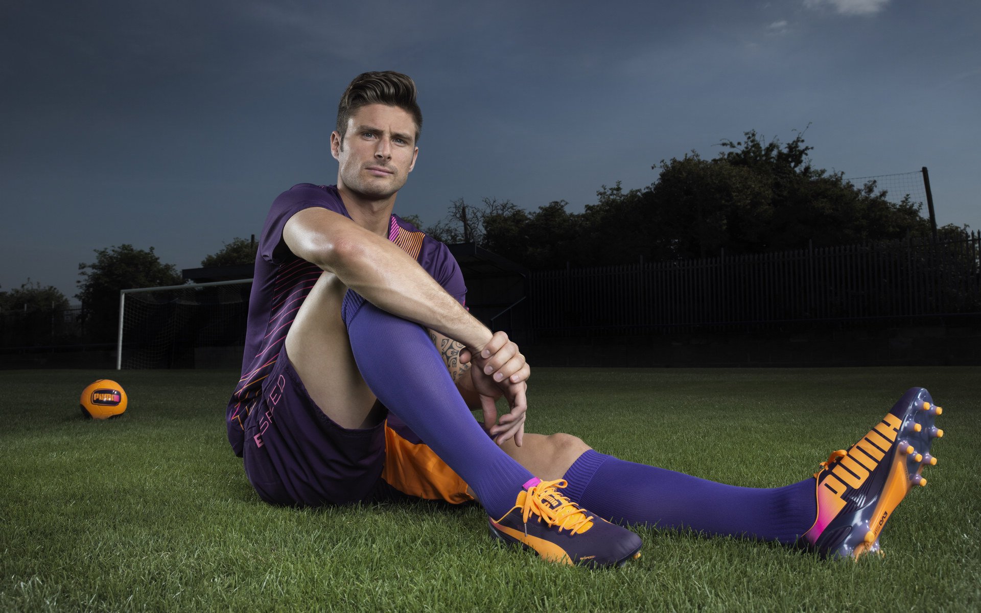 智能化运动课堂教学模式与应用评估,运动智能概述